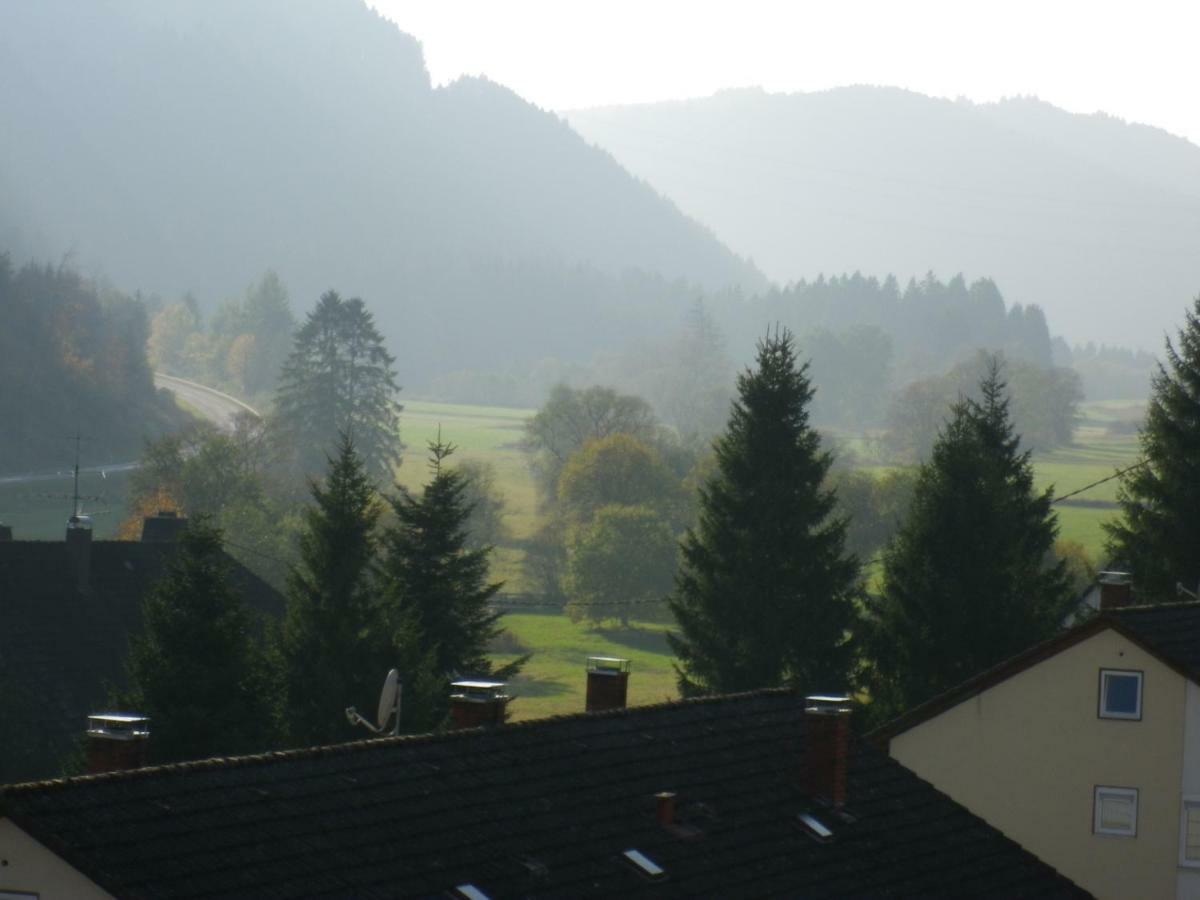 Urseetalblick Wg 7 Apartamento Lenzkirch Exterior foto
